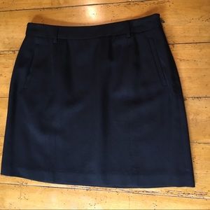 Ann Taylor Suit Skirt